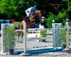 broodmare Lilly Fee 22 (Oldenburg show jumper, 2008, from Lord Z)