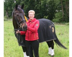 dressage horse Dannywell (Westphalian, 2002, from Danny de Vito 2)