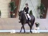 dressage horse Antonio von Padua (Westphalian, 2005, from Amantus)