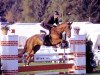 jumper Sassnitz 3 (Hanoverian, 2005, from Stakkato)