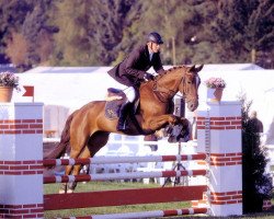 jumper Sassnitz 3 (Hanoverian, 2005, from Stakkato)