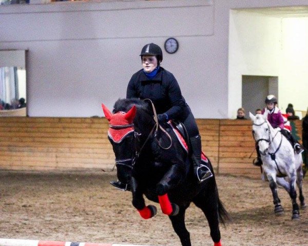 horse Ildra (Latvian Warmblood, 2010)