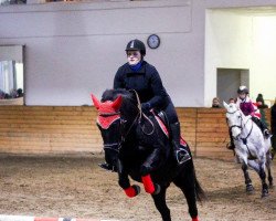 horse Ildra (Latvian Warmblood, 2010)