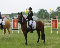 dressage horse Navarino (German Riding Pony, 2011, from Nemax)