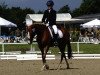 broodmare Manou 33 (German Riding Pony, 2004, from Marsvogel xx)