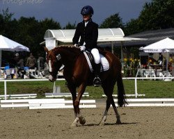 broodmare Manou 33 (German Riding Pony, 2004, from Marsvogel xx)