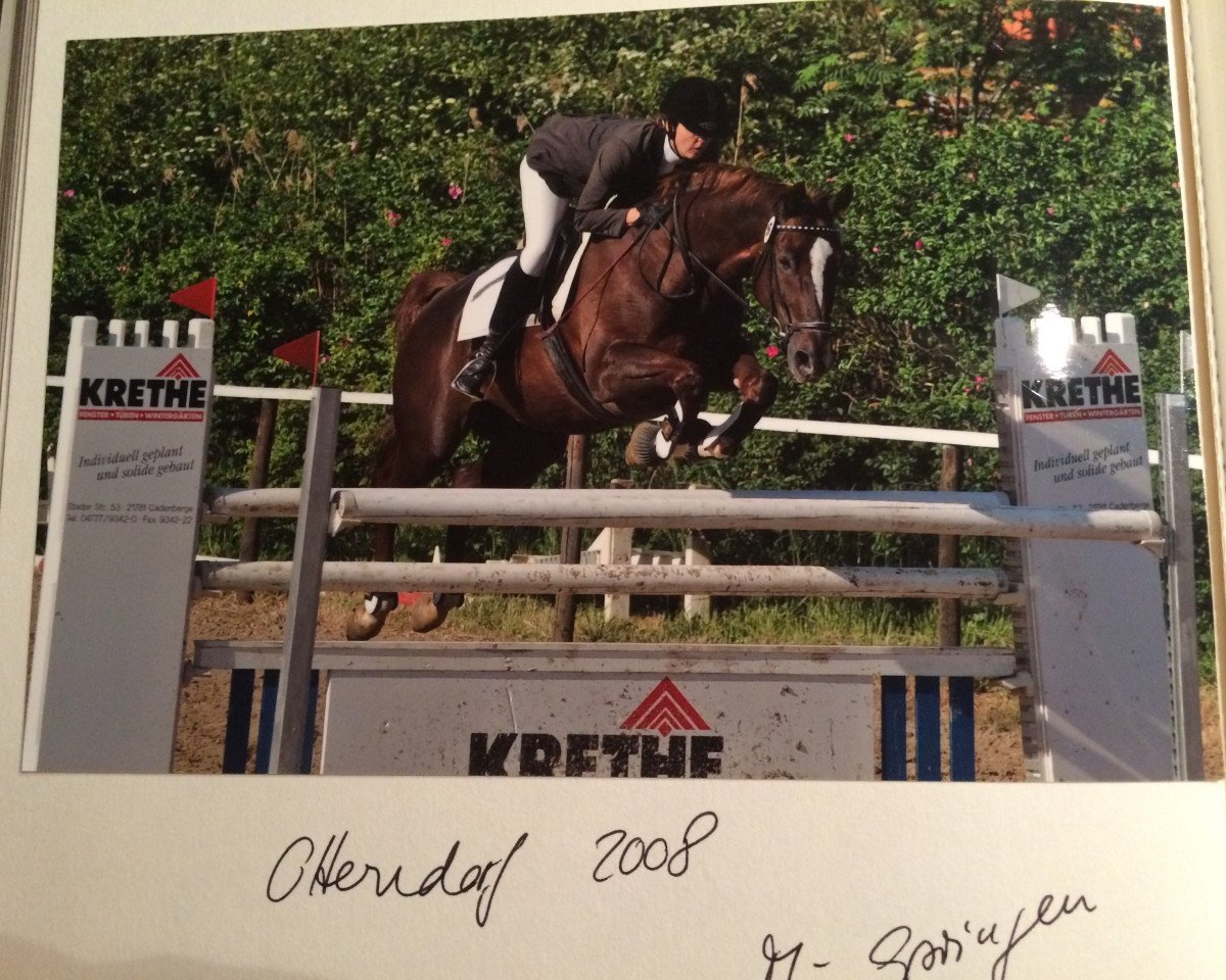 broodmare Emily 28 (Hanoverian, 1998, from Espri)