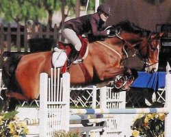 broodmare Surrey (Hanoverian, 1993, from Silvio I)