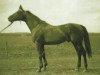 stallion 969 Ozora Árvácska (Kisber-Felver, 1945, from 266 Gidran I-14)