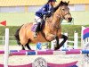 jumper Tullamore Girl (Connemara Pony, 2000)