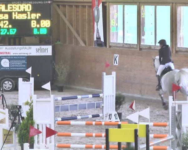 Reitturnier Rüti 2018