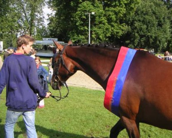 broodmare Madame Fy (Oldenburg, 2007, from Fidertanz)