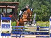 jumper Quick B (Bavarian, 2010, from Question D'Honneur B)