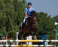 broodmare Whakathaki VS (Bavarian, 2008, from Caballus Velox)