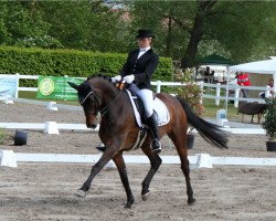 dressage horse Gaylord (Trakehner, 1996, from Vivus)