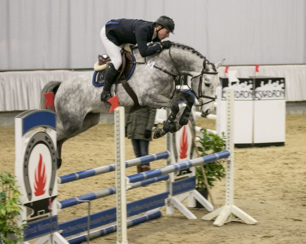 stallion Breemeersen Cornet Star (Hanoverian, 2014, from Cornet Obolensky)