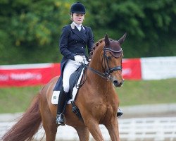 dressage horse Ronaldinho 5 (Oldenburg, 2002, from Ruiz Soler)