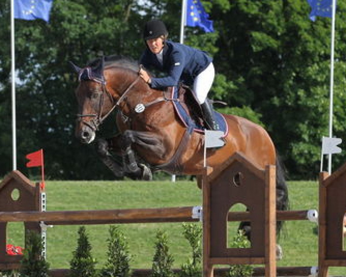 stallion Kiwi du Gibet (Luxembourg horse, 2001, from Kannan)