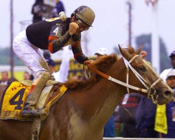 stallion Red Bullet xx (Thoroughbred, 1997, from Unbridled xx)