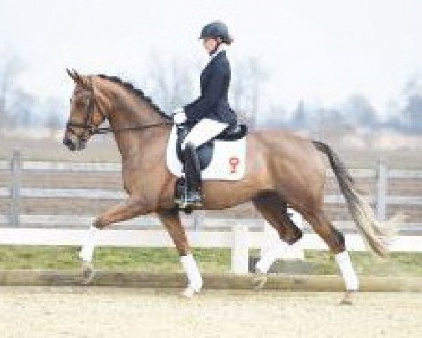 stallion Chopard (Bavarian, 2012, from Charmeur)