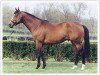 stallion Siphon xx (Thoroughbred, 1991, from Itajara xx)