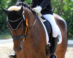 dressage horse Belinda 186 (Westphalian, 2007, from Baron)