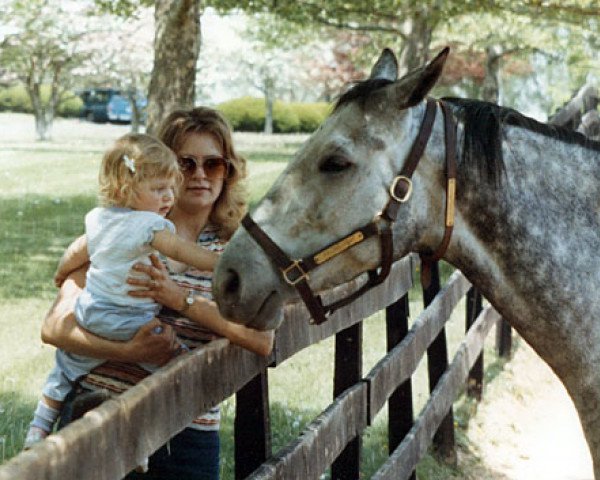 stallion Princess Rooney xx (Thoroughbred, 1980, from Verbatim xx)