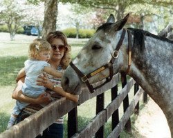 stallion Princess Rooney xx (Thoroughbred, 1980, from Verbatim xx)