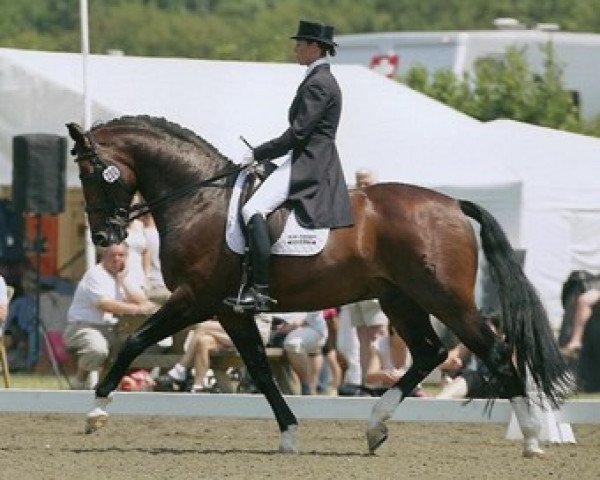 stallion Forrest Gump (Westphalian, 2001, from Florestan I)