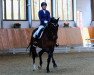 dressage horse Estolina (Westphalian, 2008, from Estobar NRW)