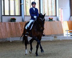 dressage horse Estolina (Westphalian, 2008, from Estobar NRW)