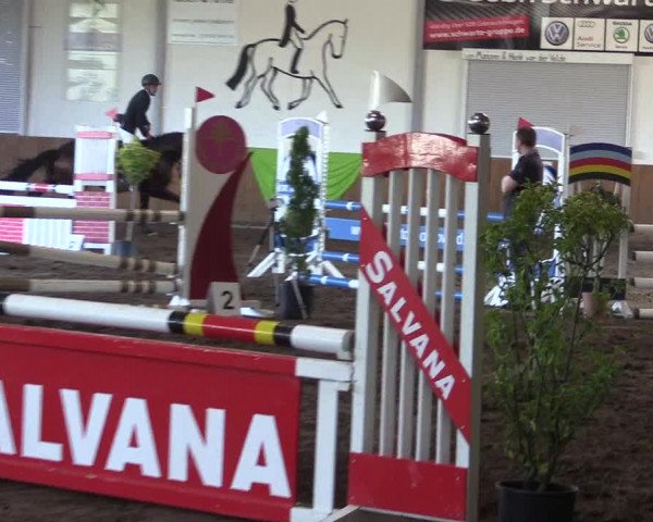 Reitturnier Dohren 2018