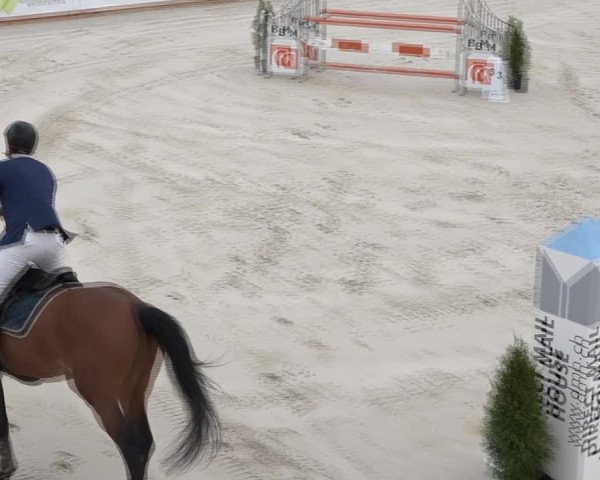 Reitturnier Horn 2018