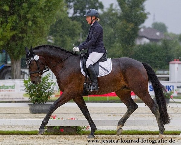 dressage horse Fidertraum D (Westphalian, 2010, from Flanagan)