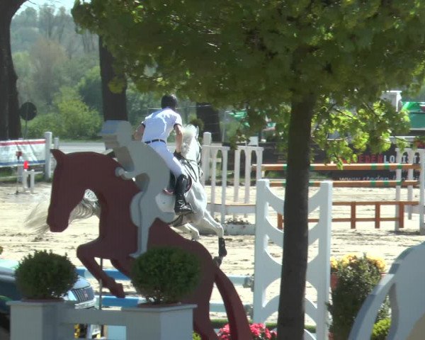 Lenklarer Reitertage 2018