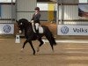 dressage horse Fioana (Hanoverian, 2006, from First Pleasure)