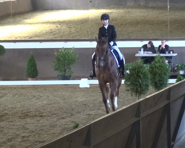 Reitturnier Jüchen-Waat 2018