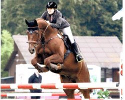 Springpferd Champ of Classic (Hannoveraner, 2004, von Charon)