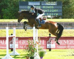 broodmare Rolls de Montigny (Selle Français, 2005, from Dollar du Murier)