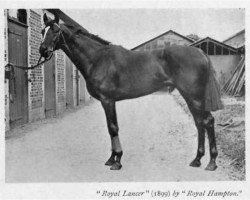 Deckhengst Royal Lancer xx (Englisches Vollblut, 1899, von Royal Hampton xx)