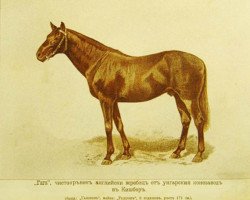 stallion Gaga xx (Thoroughbred, 1889, from Galopin xx)