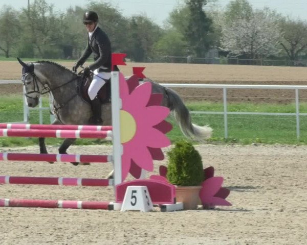 Reitturnier Langenau 2018
