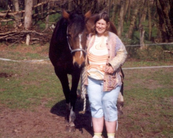 Pferd Prima (Holsteiner, 1996, von Liostro)