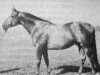 stallion Eliop (Great Poland (wielkopolska), 1961, from Traum)