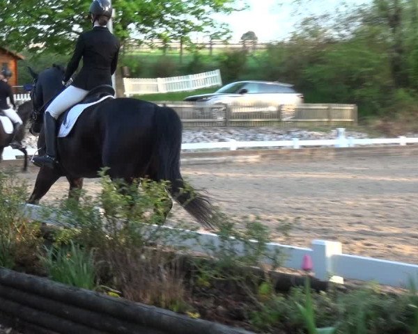 Reitturnier Mettmann - Reitanlage Löckenhoff 2018