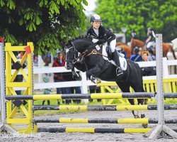 dressage horse Rabbie (German Riding Pony, 2004, from Renoir)