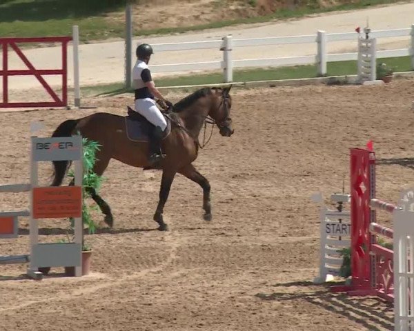 Reitturnier Kreuth 2018