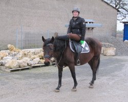 broodmare Glamour (polish noble half-breed, 2008, from Harper)