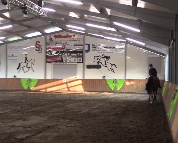 Reitturnier Dohren 2018