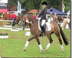 Zuchtstute Crystal Rock 2 (Deutsches Reitpony, 2006, von FS Champion de Luxe)